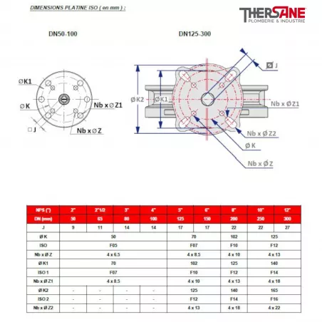 Vanne Papillon Double Excentration Lug Pn Ou Si Ges Ptfe