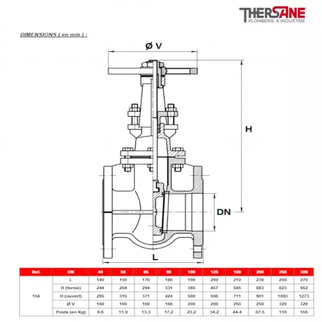 Vanne à opercule fonte à bride PN16 tige montante Diamètre DN DN 40